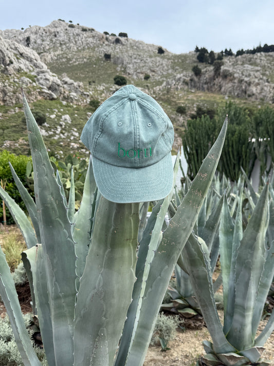 Borti caps "vintage" lys grønn/grønn logo