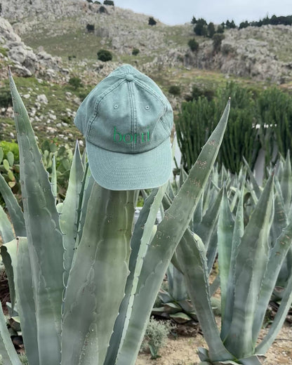 Borti caps "vintage" lys grønn/grønn logo